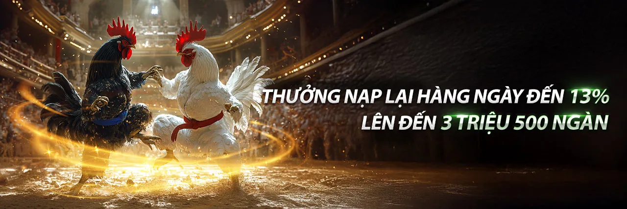 Hướng dẫn chơi game 8ket dành cho người mới bắt đầu